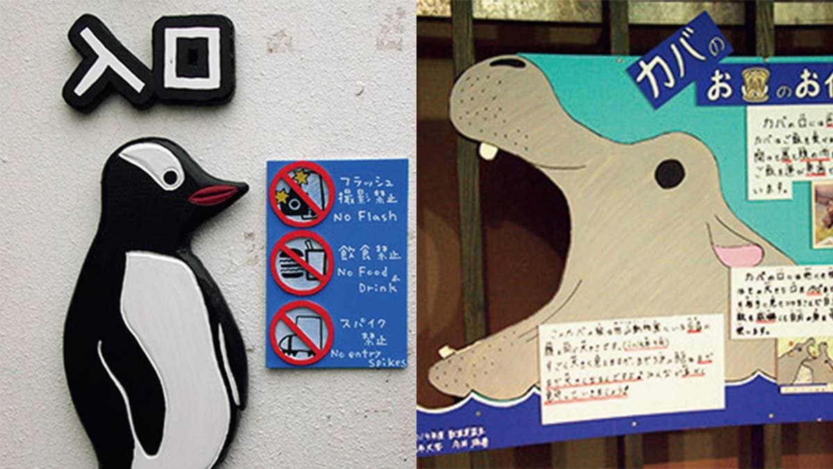 不只「企鵝散步秀」！2023北海道動物園四季攻略：河馬跳水、冬天看雪燈