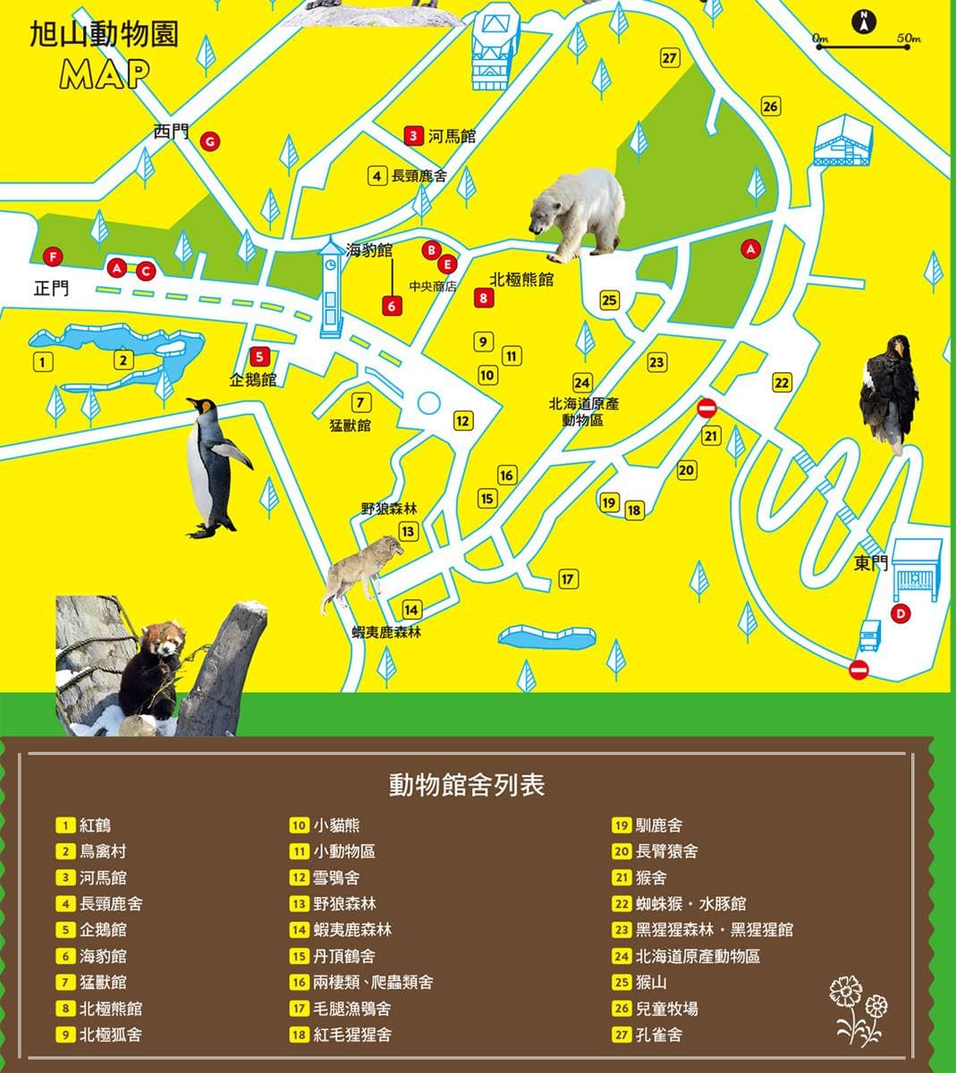 不只「企鵝散步秀」！2023北海道動物園四季攻略：河馬跳水、冬天看雪燈