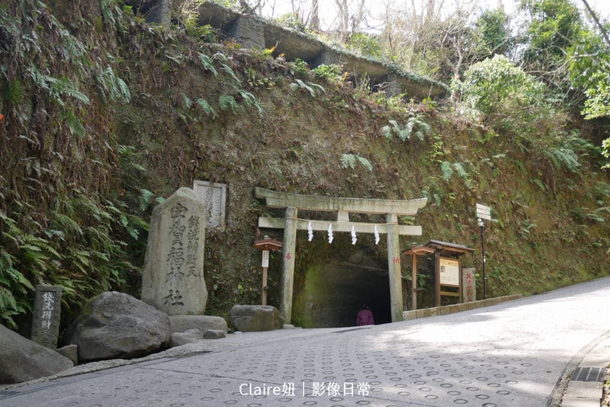 發大財來這！５間愈拜愈有錢「招財神社」：「洗錢」DIY錢母、黃金鳥居超吸金
