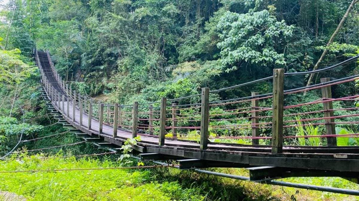 小天梯步道平坦好走，沿途樹林繁茂，遮蔭良好。（圖片來源：森の野餐女王）