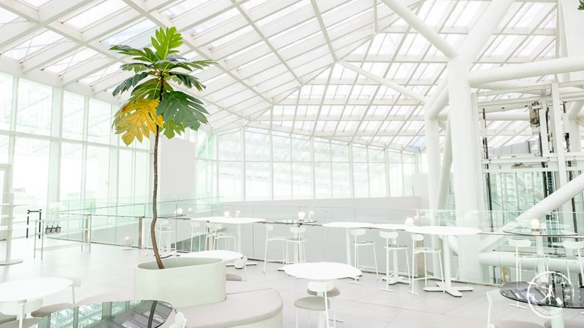 店內用餐空間舒適又明亮。（圖片來源：桃桃's旅人手札）