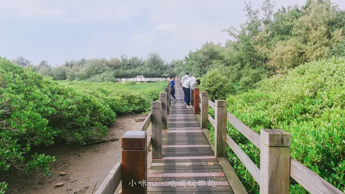 這裡是北台灣地區唯一水筆仔、海茄苳混生的紅樹林。（圖片來源：小咪ma．吃喝玩樂趣）