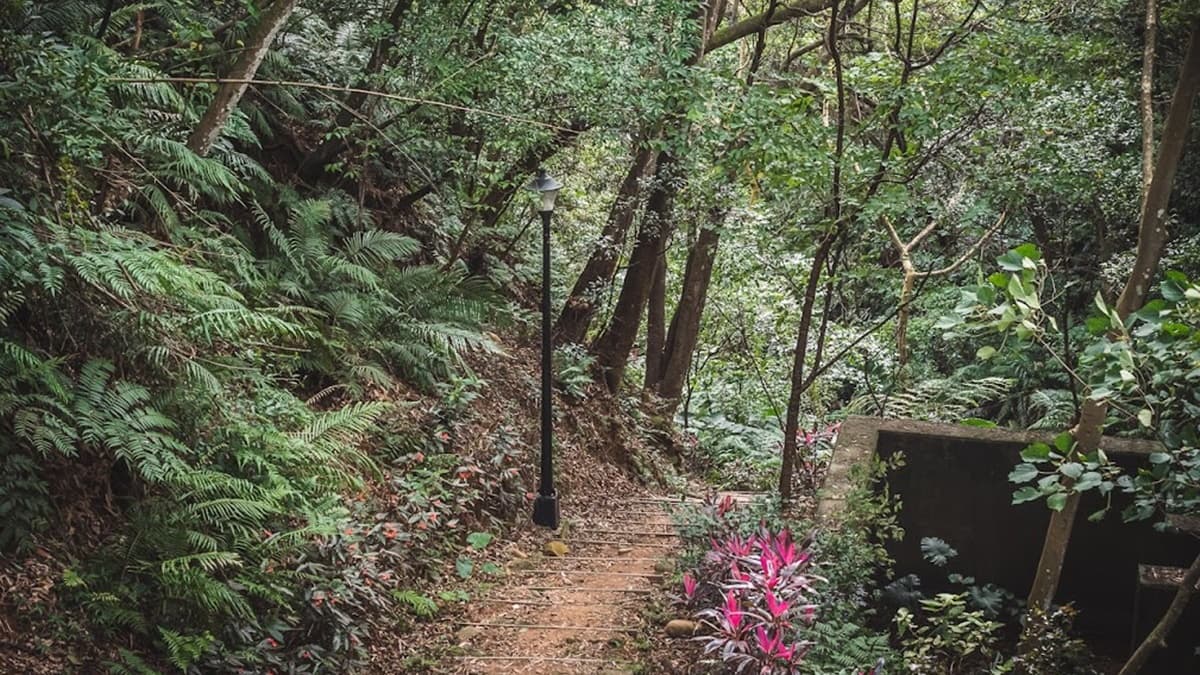 步道此處轉為泥徑，陣陣清風太過涼快就在這待了許久。（圖片來源：是艾思，不是火拳）