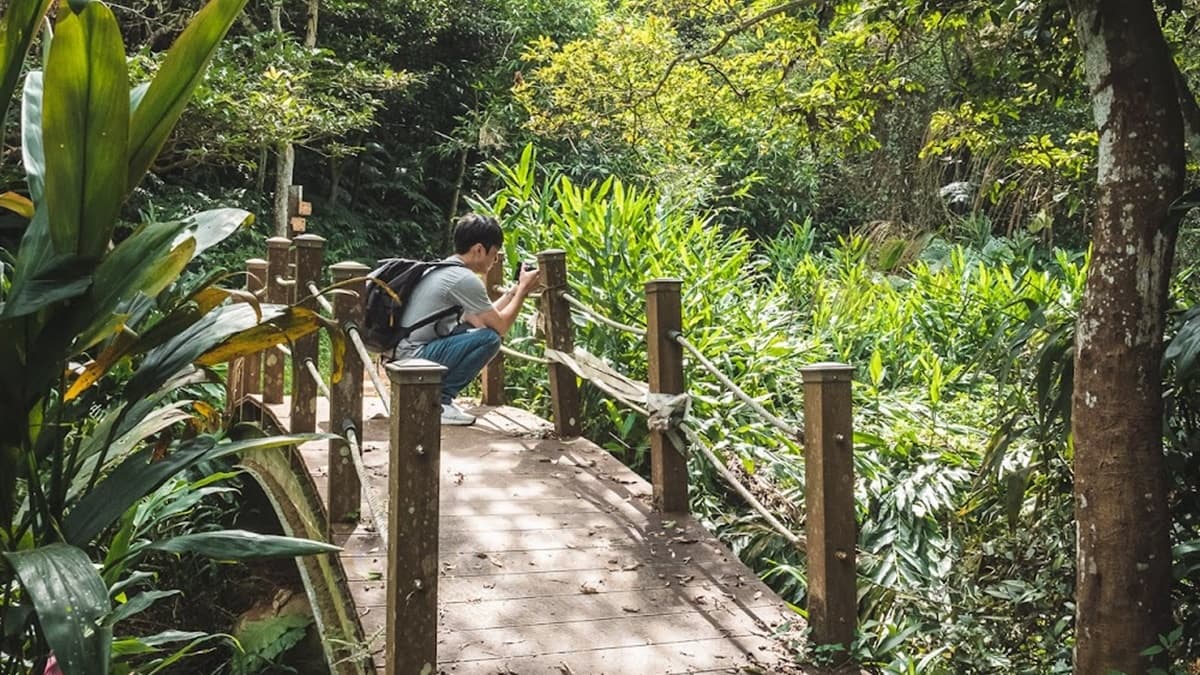 「福神橋」是１座木棧小拱橋，橋下流淌著溪水。（圖片來源：是艾思，不是火拳）