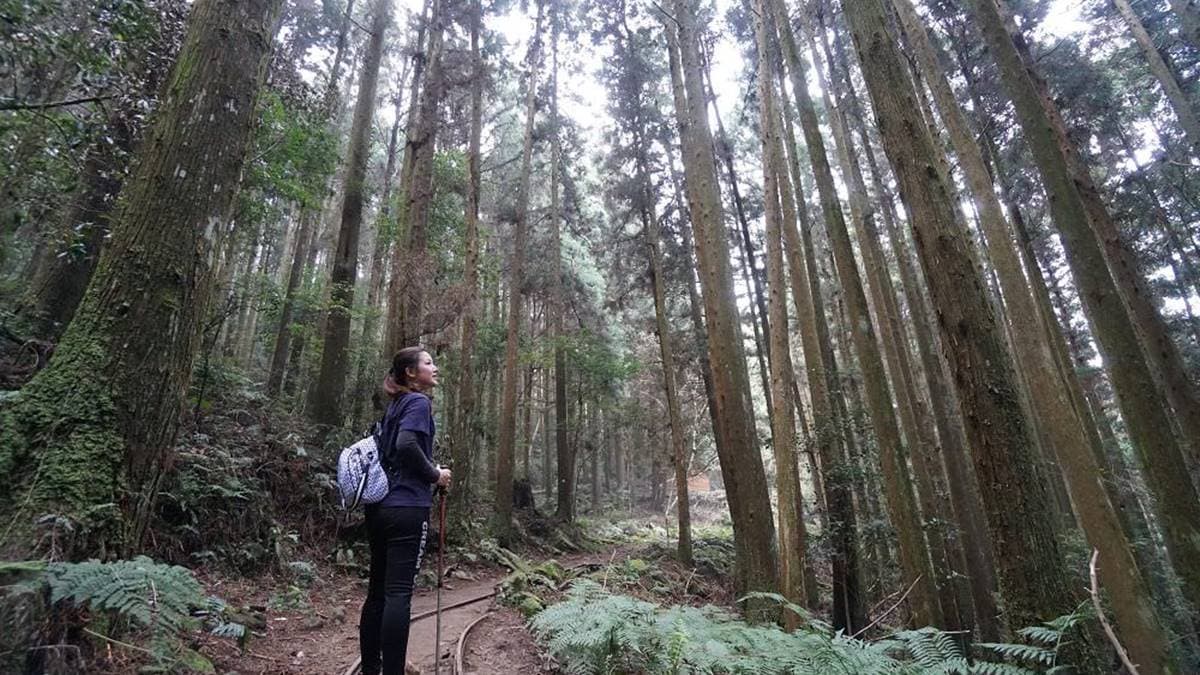 接近1.8k處有鐵道，非常適合網美拍照。（圖片來源：17jump旅遊攝）