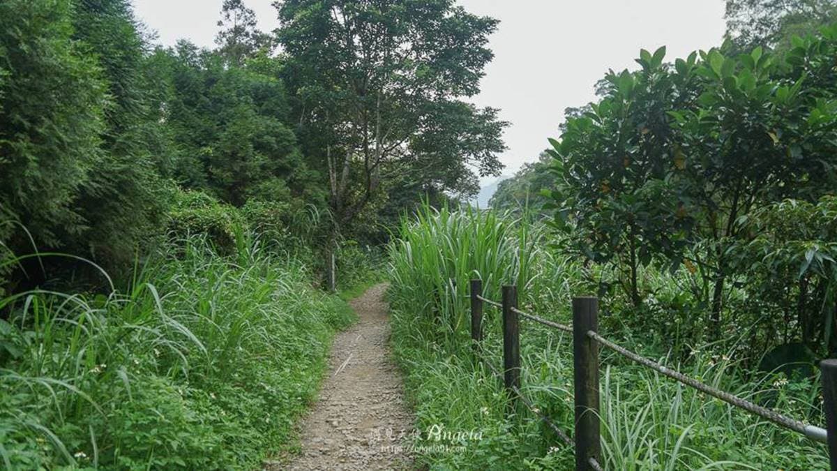 時而是木棧道，時而是原始步道，整體都算是好走。（圖片來源：遇見天使Angela）