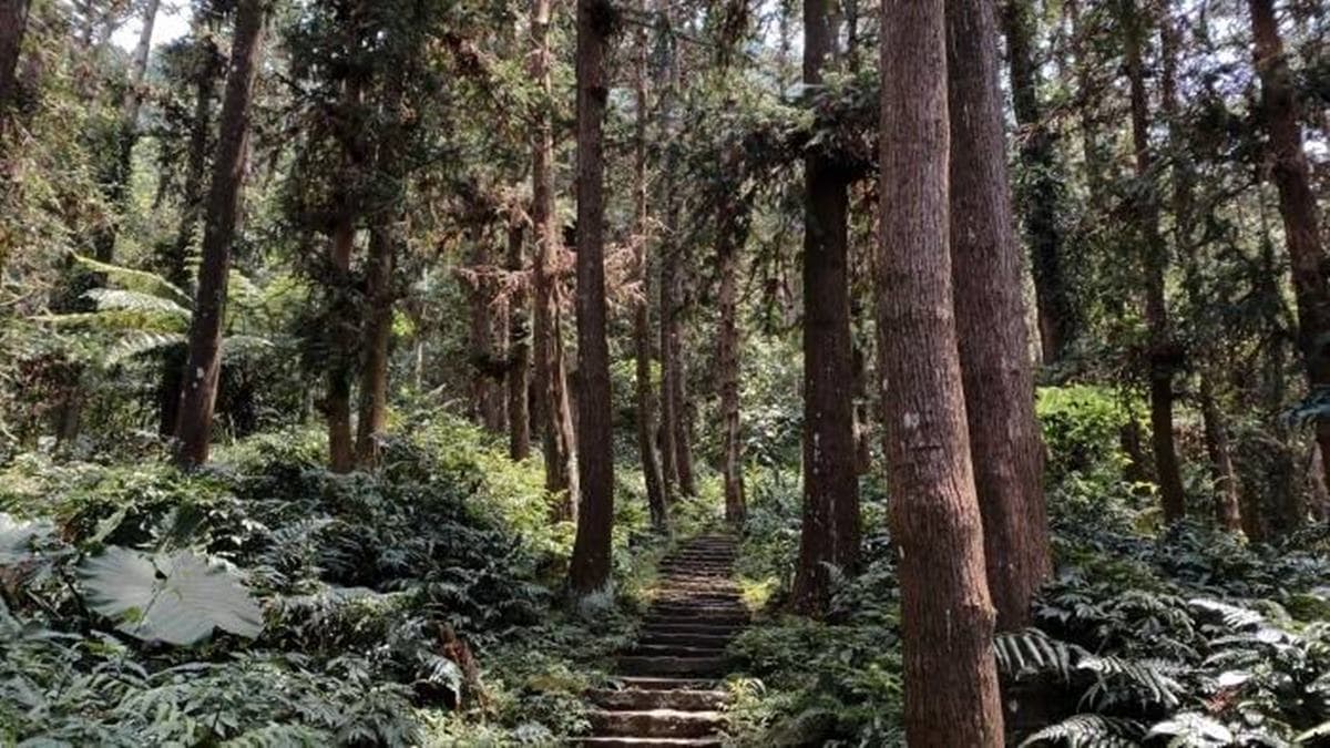 仙山登山步道