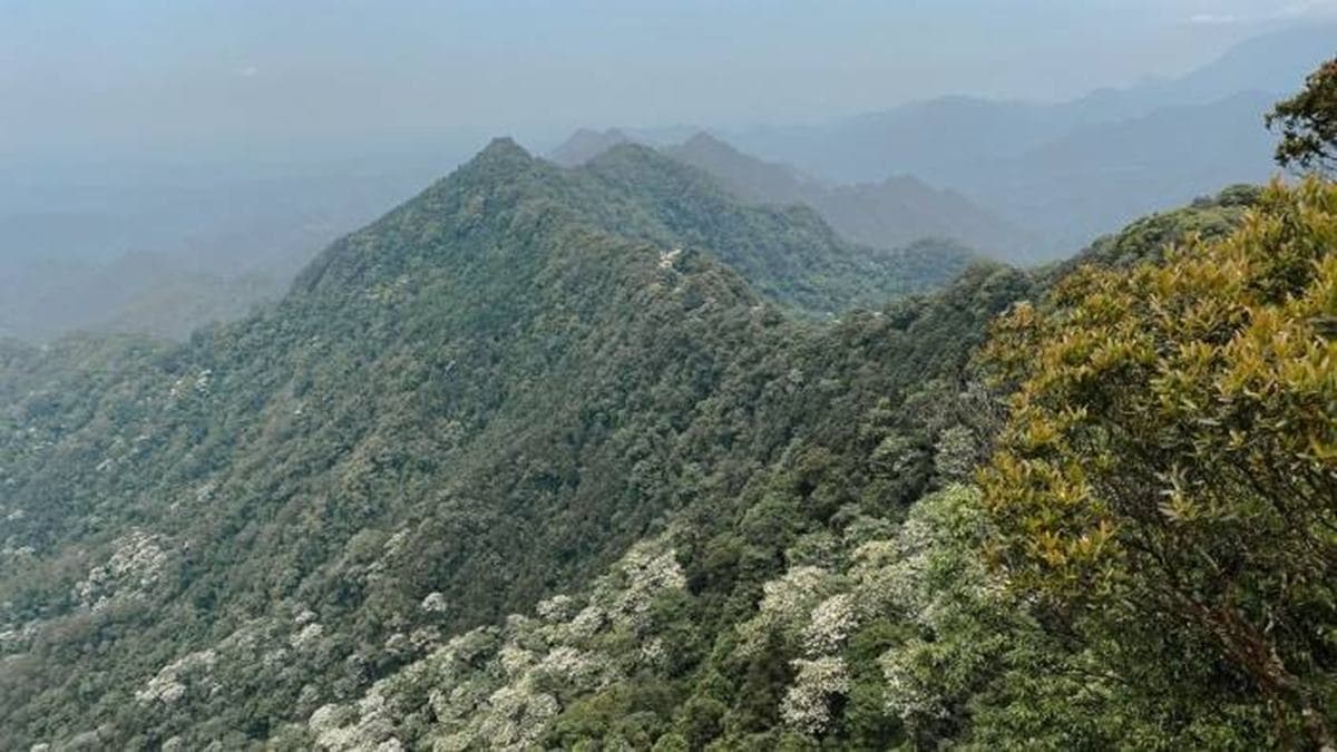 仙山山頂是狹小突出裸岩，爬上來後視野很開闊。（圖片來源：Sara‘s world）