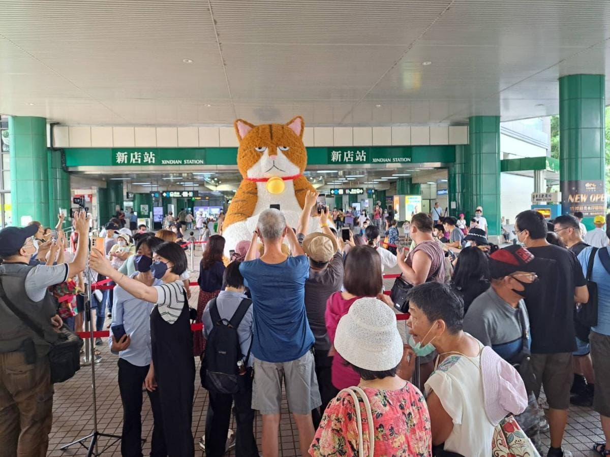 ３米高「厭世橘貓」又來了！８月「這２天」快閃華山，逛市集＋爽抽iPhone 14