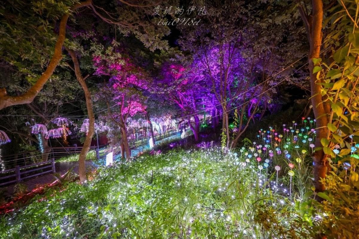 只到８月底快朝聖！桃園免門票「夜景步道」夢幻光雕秀美翻，搶拍水母光廊