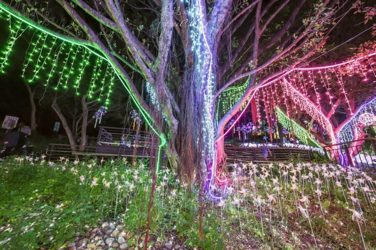 只到８月底快朝聖！桃園免門票「夜景步道」夢幻光雕秀美翻，搶拍水母光廊