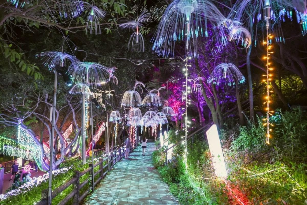 只到８月底快朝聖！桃園免門票「夜景步道」夢幻光雕秀美翻，搶拍水母光廊