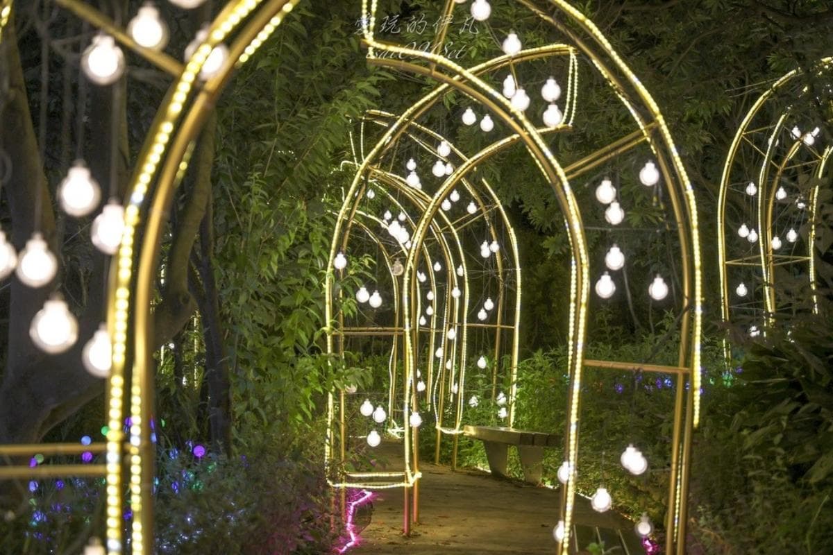 只到８月底快朝聖！桃園免門票「夜景步道」夢幻光雕秀美翻，搶拍水母光廊