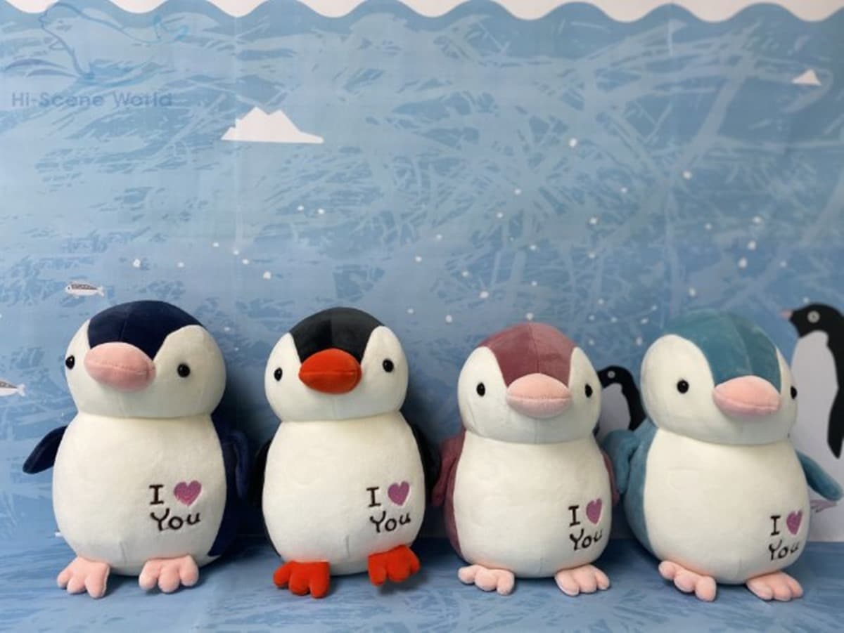 與小鯊魚、海豹一起入眠！七夕夜宿「最美水族館」，留言抽「免費再住１晚」