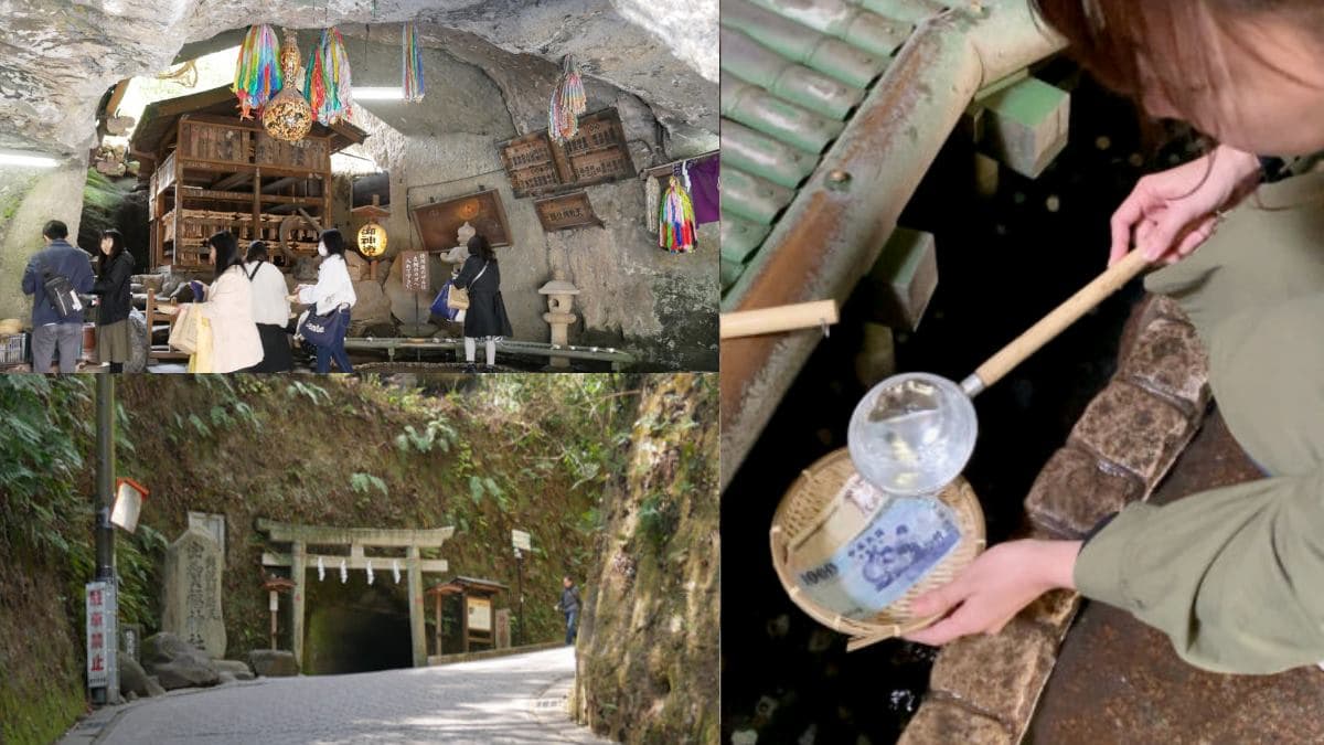 拜了發大財！完整「求財神社」參拜攻略公開，神明加持合法「洗錢」增財運