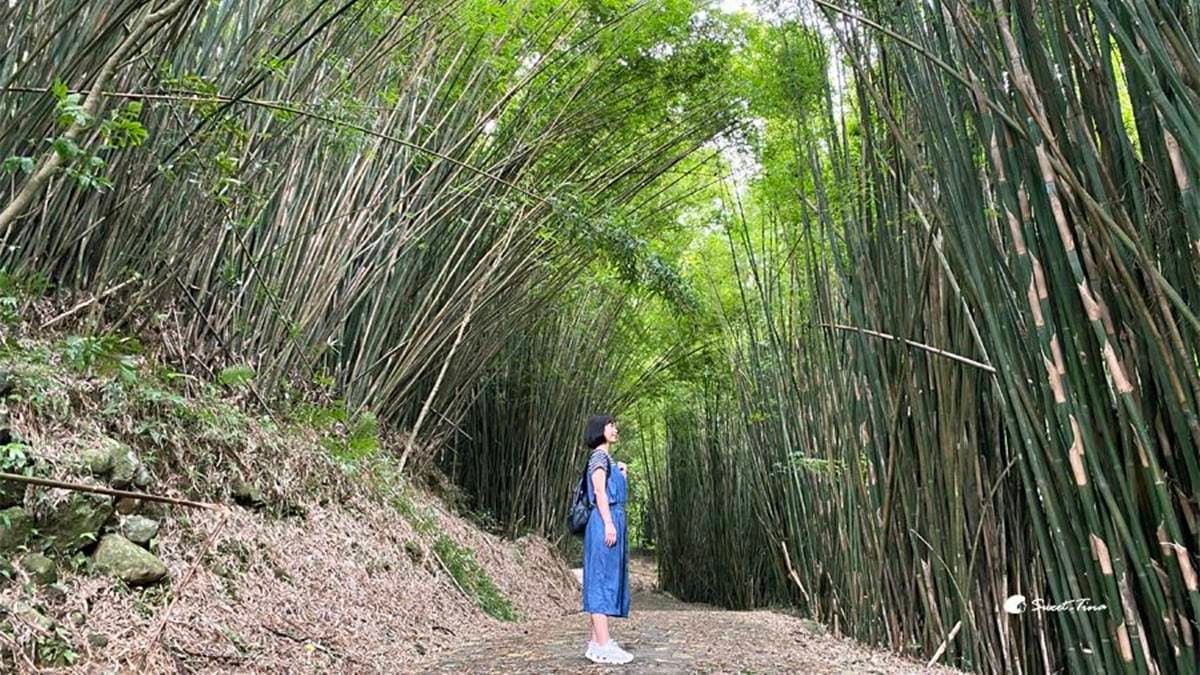 走到中間時還會看見竹林，真的超好拍。（圖片來源：Sweet Tina 樂在生活分享）