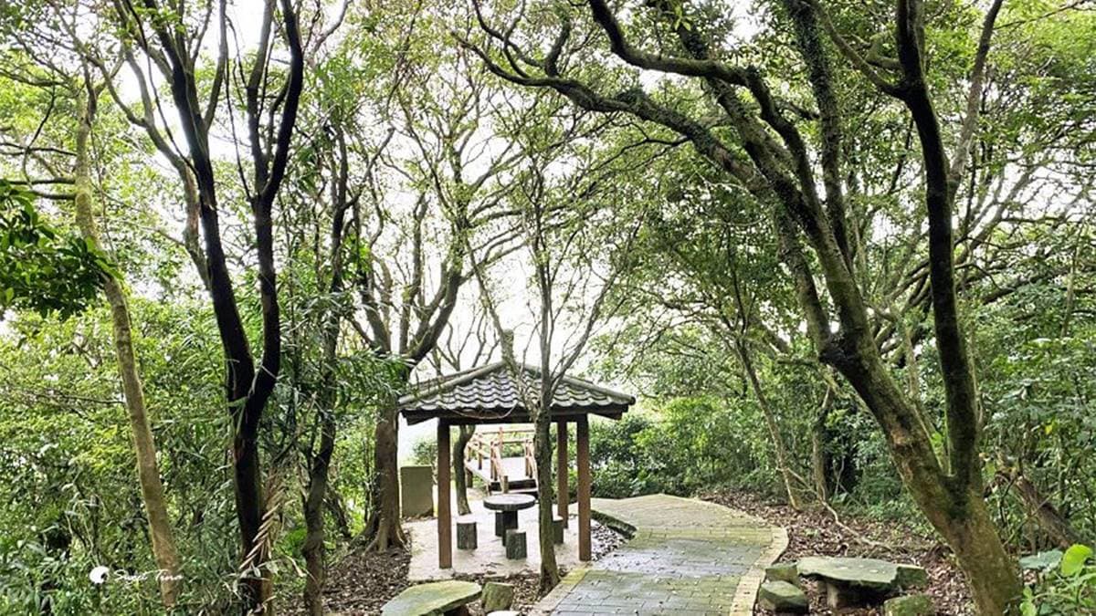 涼亭再往上約１公里會接到筠園，沿路有樹林圍繞。（圖片來源：Sweet Tina 樂在生活分享）