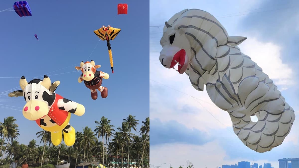 只有２天！「2023新竹風箏節」鯨魚、魚尾獅超萌升空，晚上免費拍夜光風箏秀