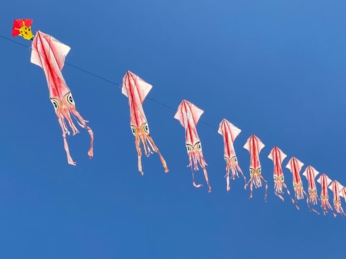只有２天！「2023新竹風箏節」鯨魚、魚尾獅超萌升空，晚上免費拍夜光風箏秀