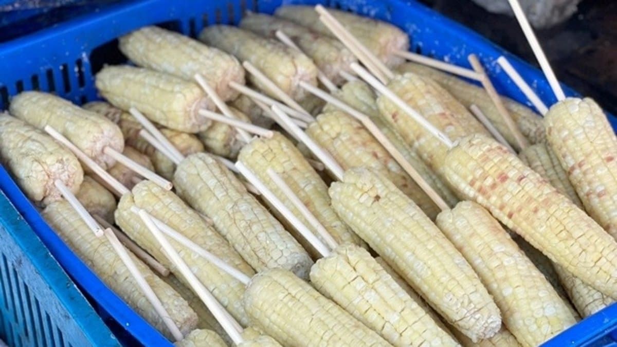 一旁也可以看到擺放玉米的籃子，生意好時還能賣上500隻。（圖片來源：熱血玩台南。跳躍新世界）