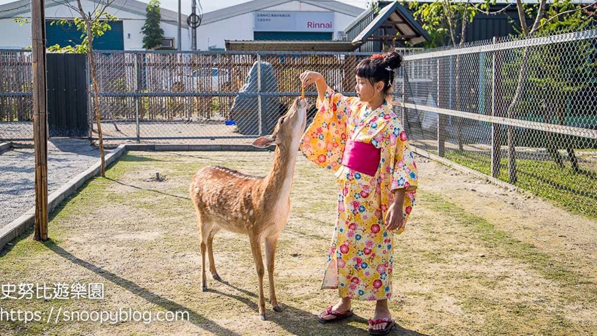 園區也飼養了許多小動物，可以拿紅蘿蔔餵羊駝、梅花鹿和山羊。（圖片來源：史努比遊樂園）