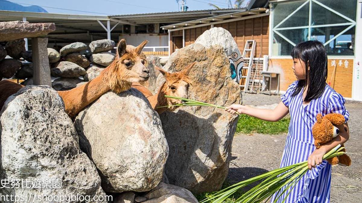 動物親近區動物種類滿多的，還可以購買飼料去餵食。（圖片來源：史努比遊樂園）