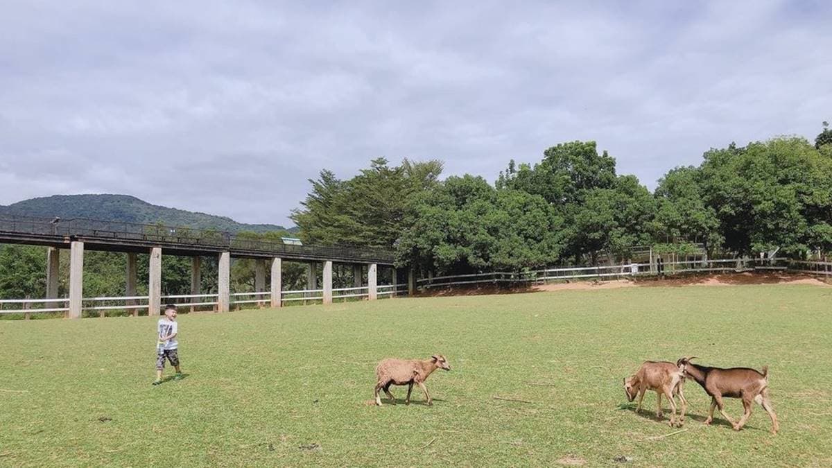 遊客除了可以在外面看動物，還可以進去近距離接觸。（圖片來源：Rikki的美好生活）