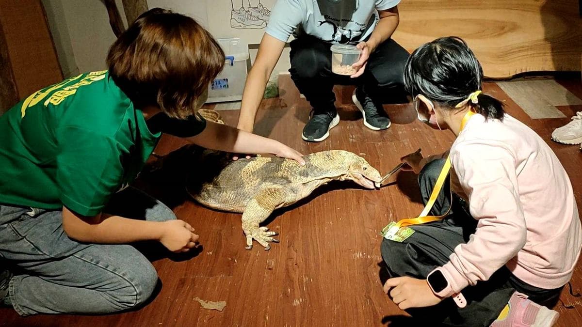 館內還有「生態導覽互動體驗」可以報名，動物餵食課好像還滿熱門的。（圖片來源：史努比遊樂園）
