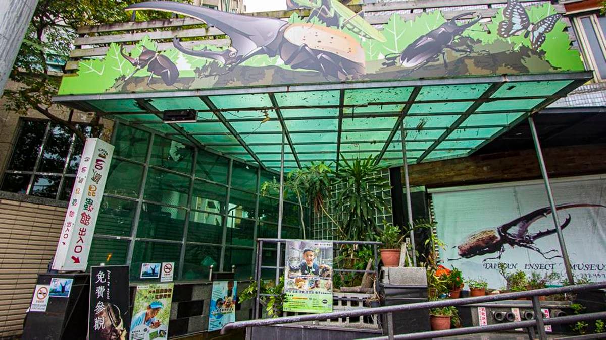 「台灣昆蟲館台北館」近捷運麟光站，是室內親子景點。（圖片來源：史努比遊樂園）