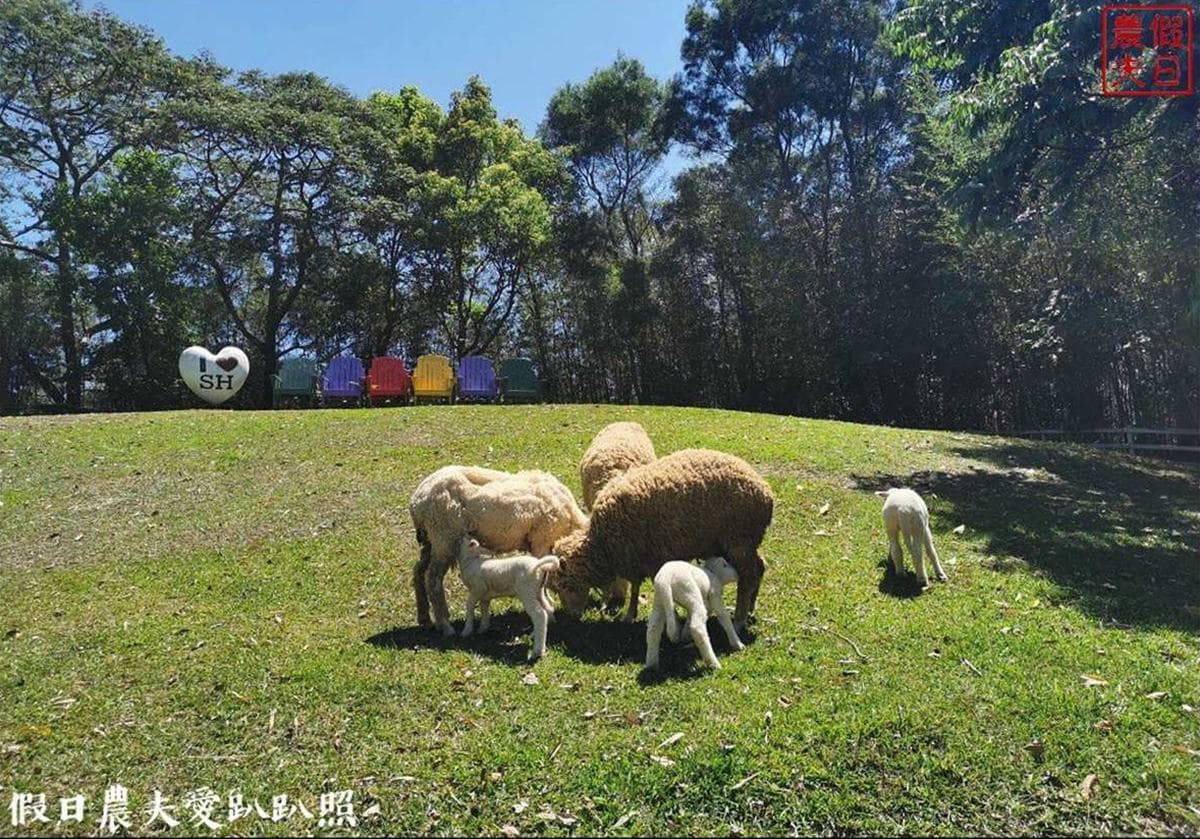 投票抽免費環島住一年！2023食尚旅宿大賞推薦必住，５大最夯定點深度玩民宿