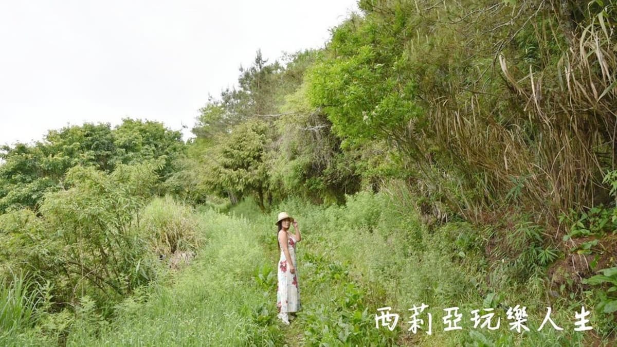 這裡猶如魔戒場景，沿途景色非常原始。（圖片來源：西莉亞玩樂人生）