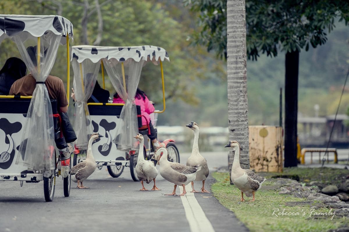 投票抽免費環島住一年!2023食尚旅宿大賞推薦必住,免動手住7家豪華露營車 投票抽免費環島住一年!2023食尚旅宿大賞推薦必住,免動手住7家豪華露營車
