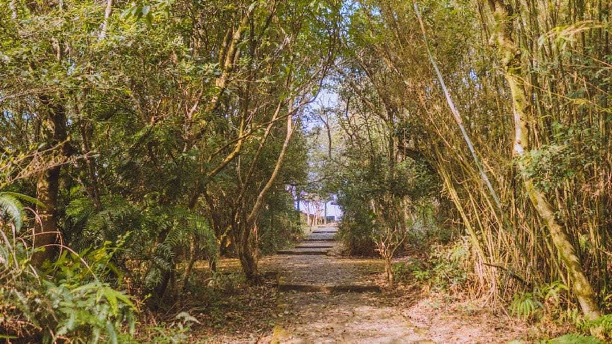 原始泥徑與步道匯合之處，前方就是大崙頭山。（圖片來源：是艾思，不是火拳。）