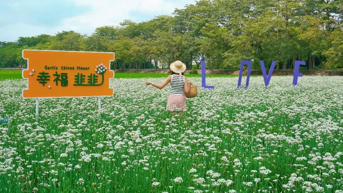 現場也有賣韭菜花束，１支50元。（圖片來源：IG@bruce570318）