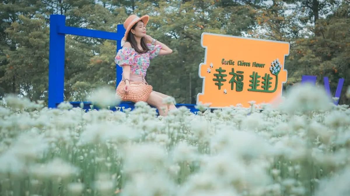 「幸福韭韭」韭菜花田位於東螺溪埤頭木棉道旁邊。（圖片來源：IG@bruce570318）