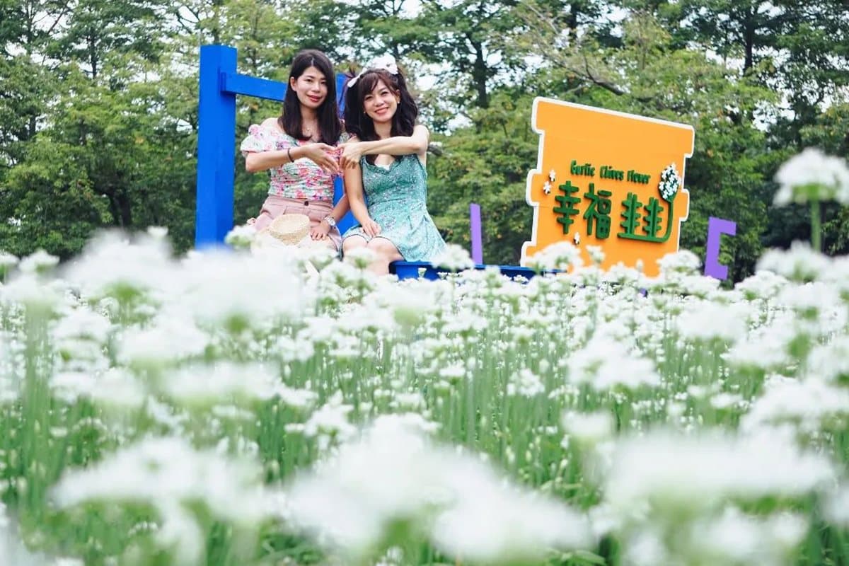 50元美照拍到飽！彰化破千坪「韭菜花田」仙氣爆棚，中秋、國慶連假快來賞花