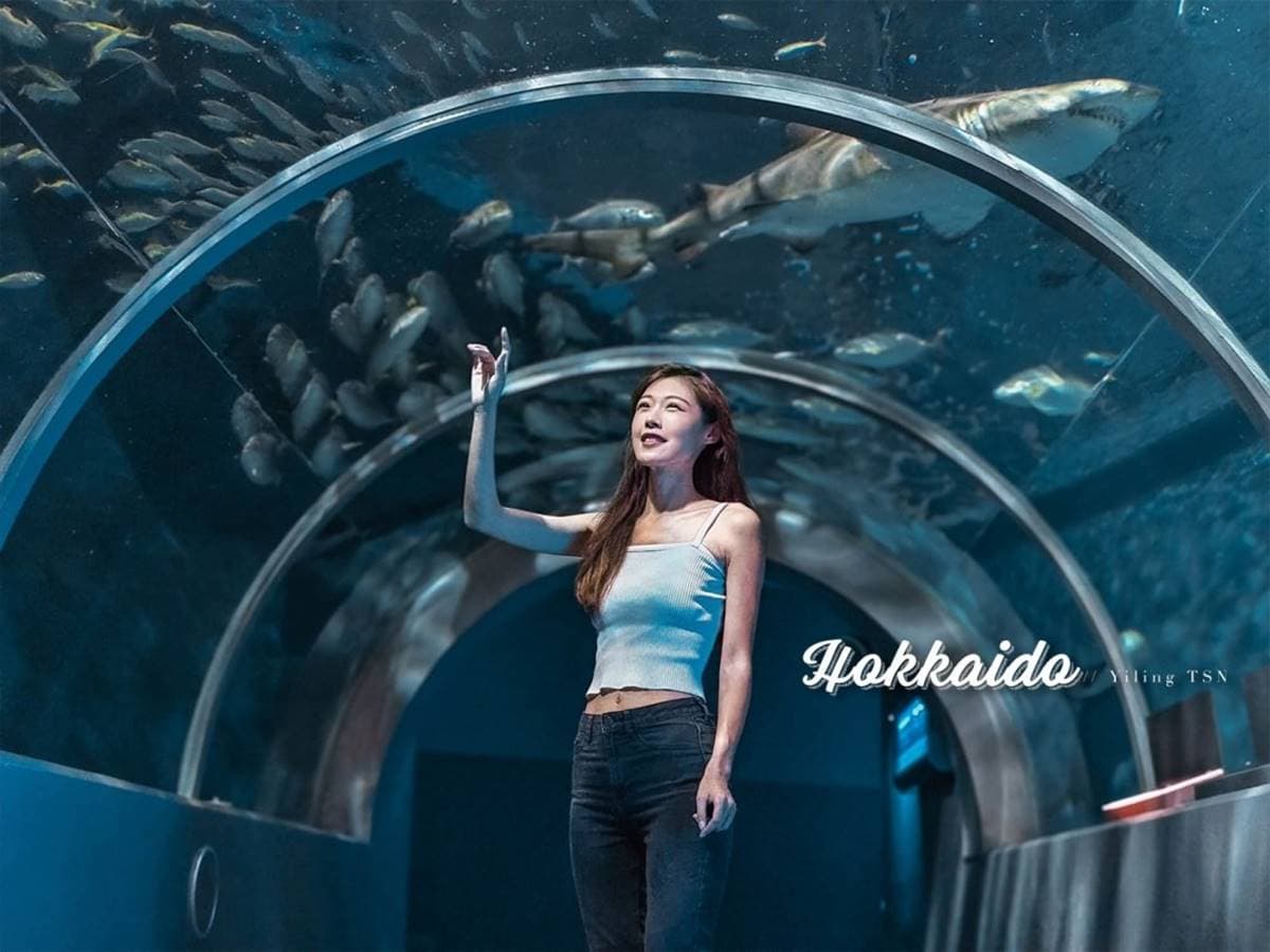 不用飛北歐！童話風「城堡水族館」在這，先搭摩天輪再看暴紅「大王具足蟲」