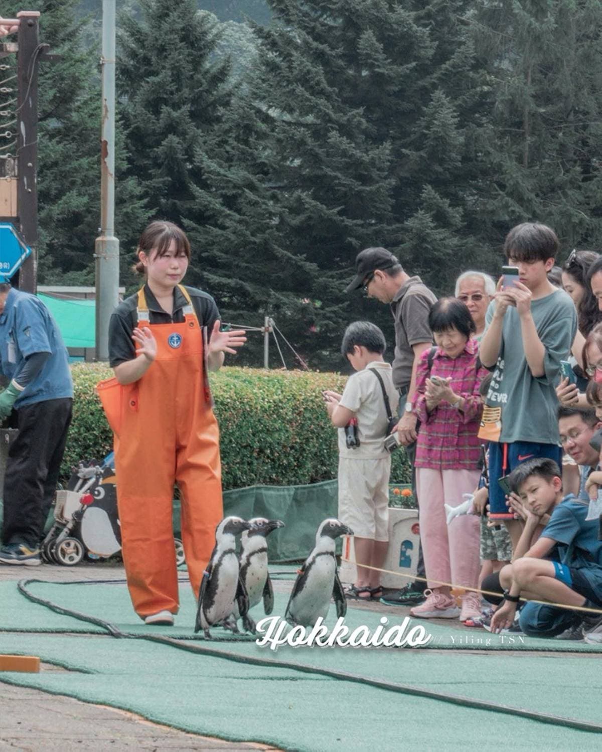 不用飛北歐！童話風「城堡水族館」在這，先搭摩天輪再看暴紅「大王具足蟲」