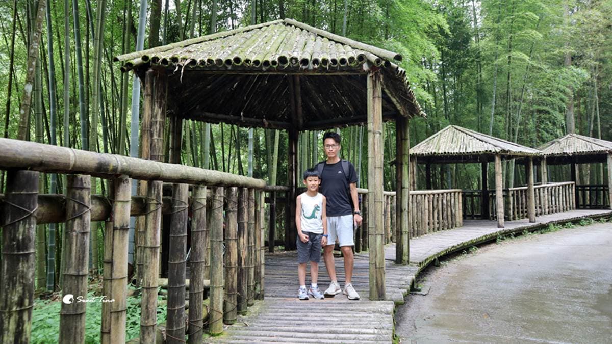 走在孟宗竹林間彷彿穿越時空，進入武俠小說場景之中。（圖片來源：Sweet Tina 樂在生活分享）