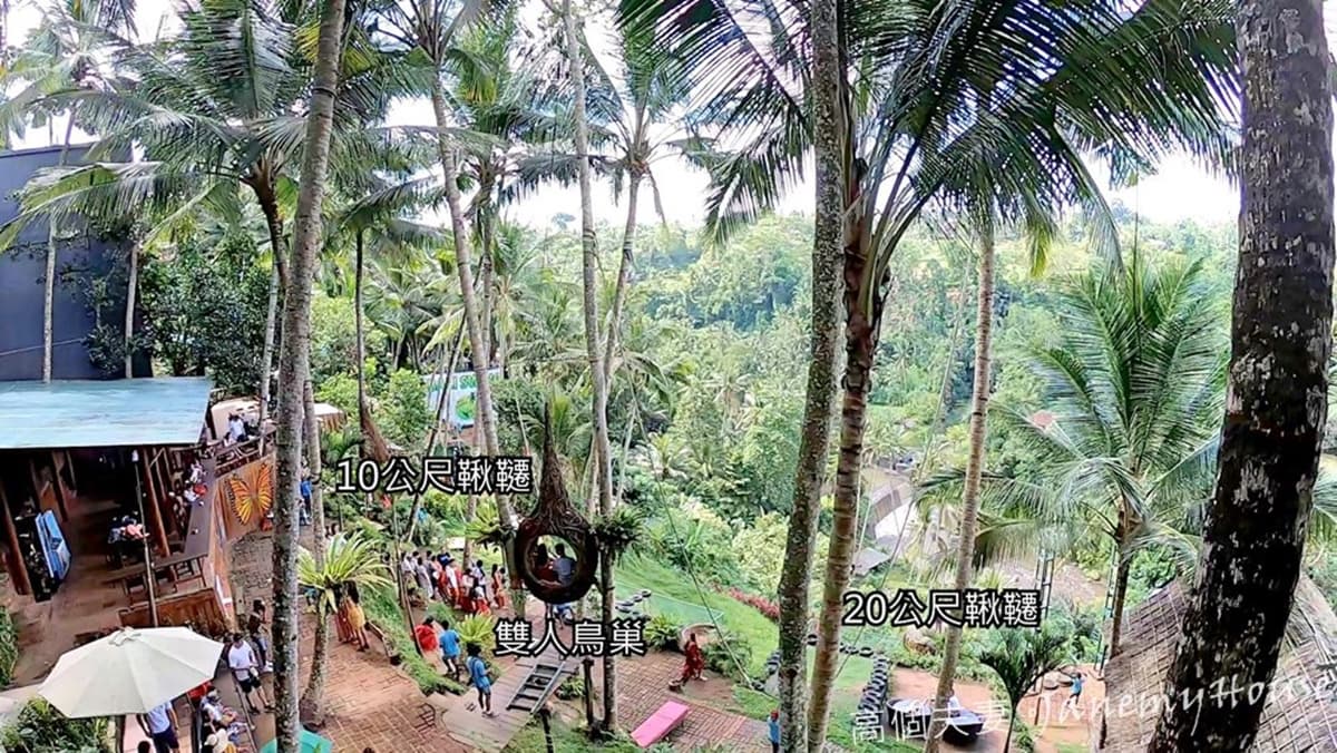 女生拍到失心瘋！IG夯翻「叢林鞦韆祕境」藏在這，爽坐高空鳥巢、花圈超夢幻