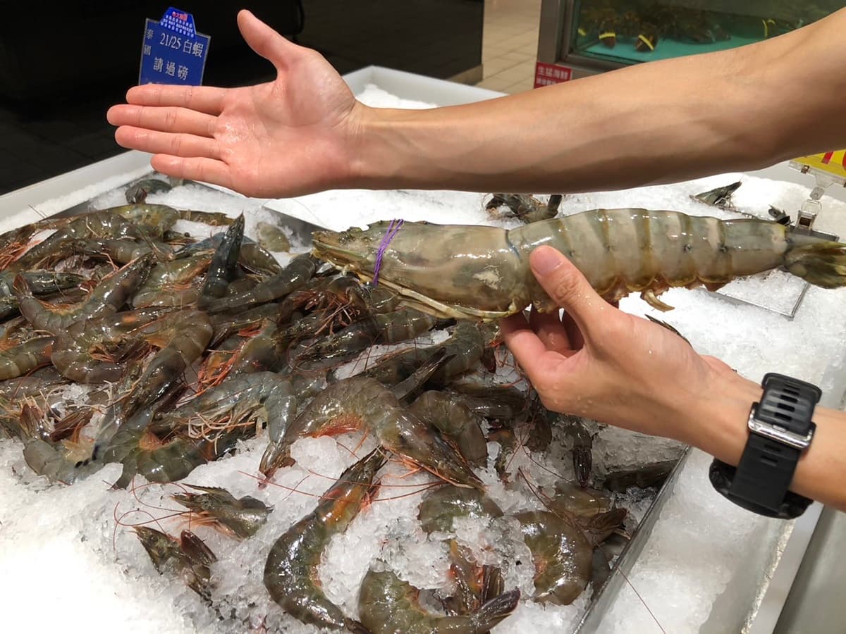 50倍大!大潤發「巨無霸蛋黃酥」13門市開放預購,全新「10倍尺寸」也登場 50倍大!大潤發「巨無霸蛋黃酥」13門市開放預購,全新「10倍尺寸」也登場