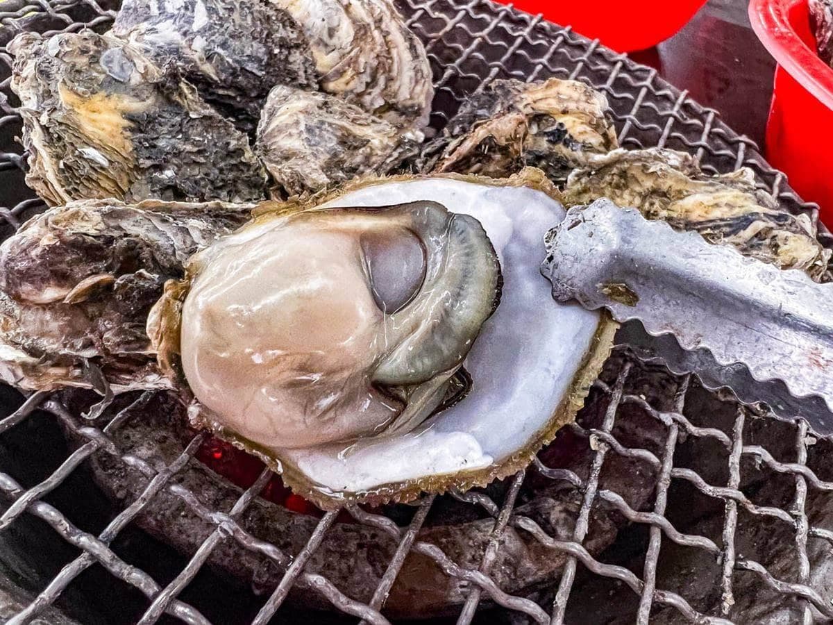 最強「烤蚵吃到飽」不只嘉義！老饕激推「這兩地」必去，計價方式、吃法曝光