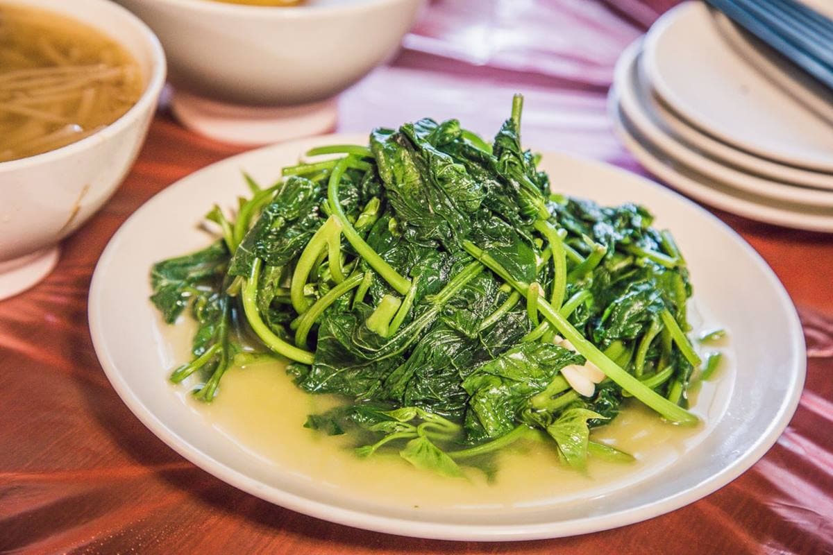 連假衝陽明山吃雞！竹子湖「土雞霸主」開門就客滿，Ｑ嫩白斬雞沾辣椒超夠味