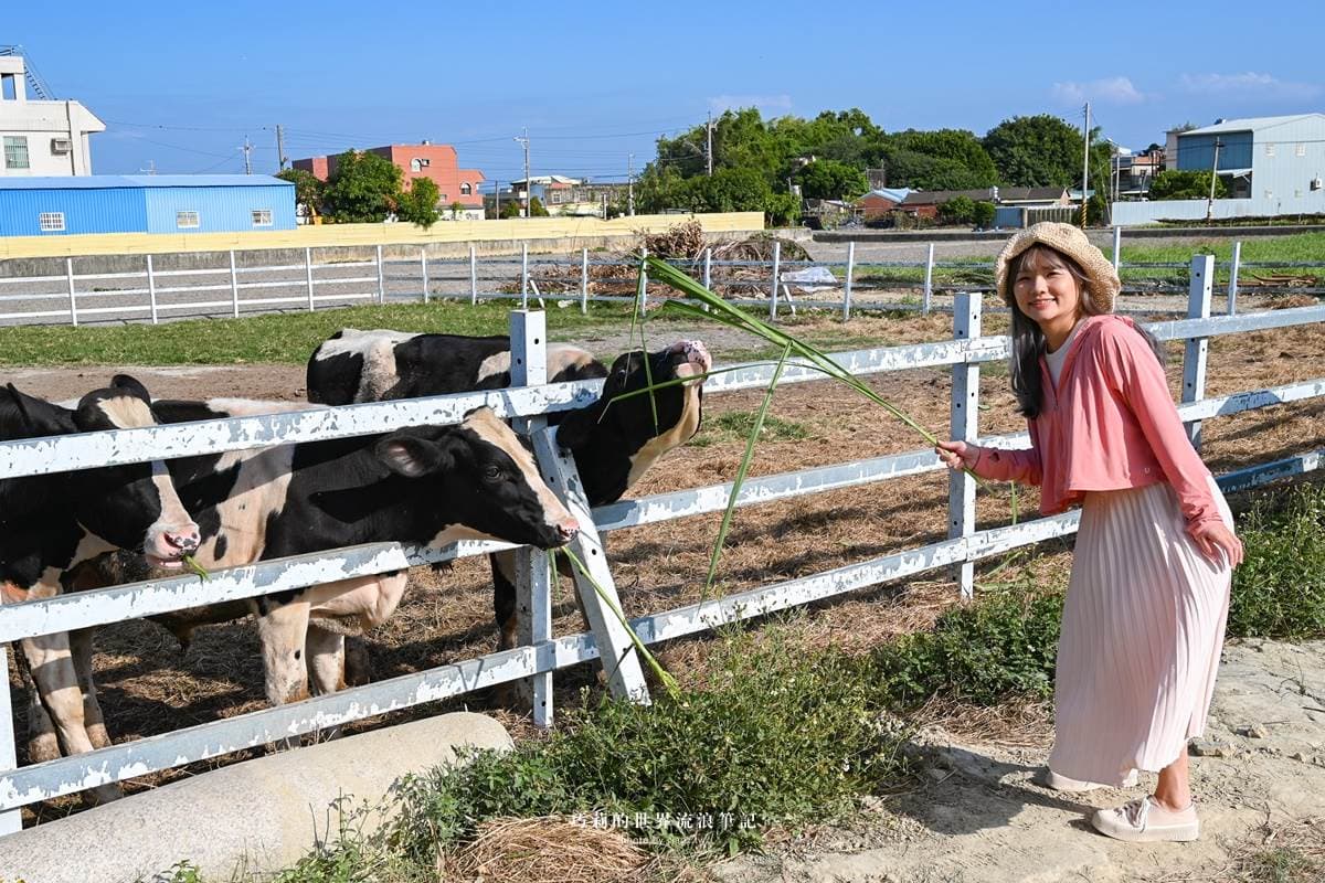 才不是景點沙漠!彰化、雲林8免門票景點:超萌乳牛牧場、全台最大寺廟公園 才不是景點沙漠!彰化、雲林8免門票景點:超萌乳牛牧場、全台最大寺廟公園