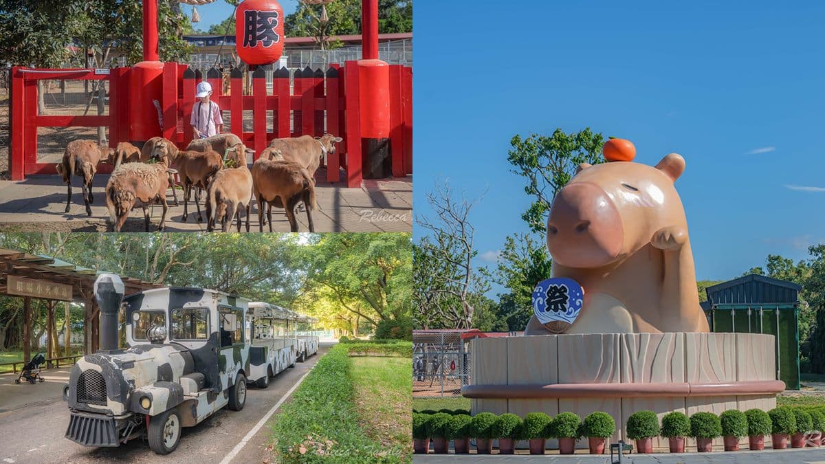 國慶連假這樣玩最省！10景點「免費入園、門票優惠」：壽星免門票、現省200元