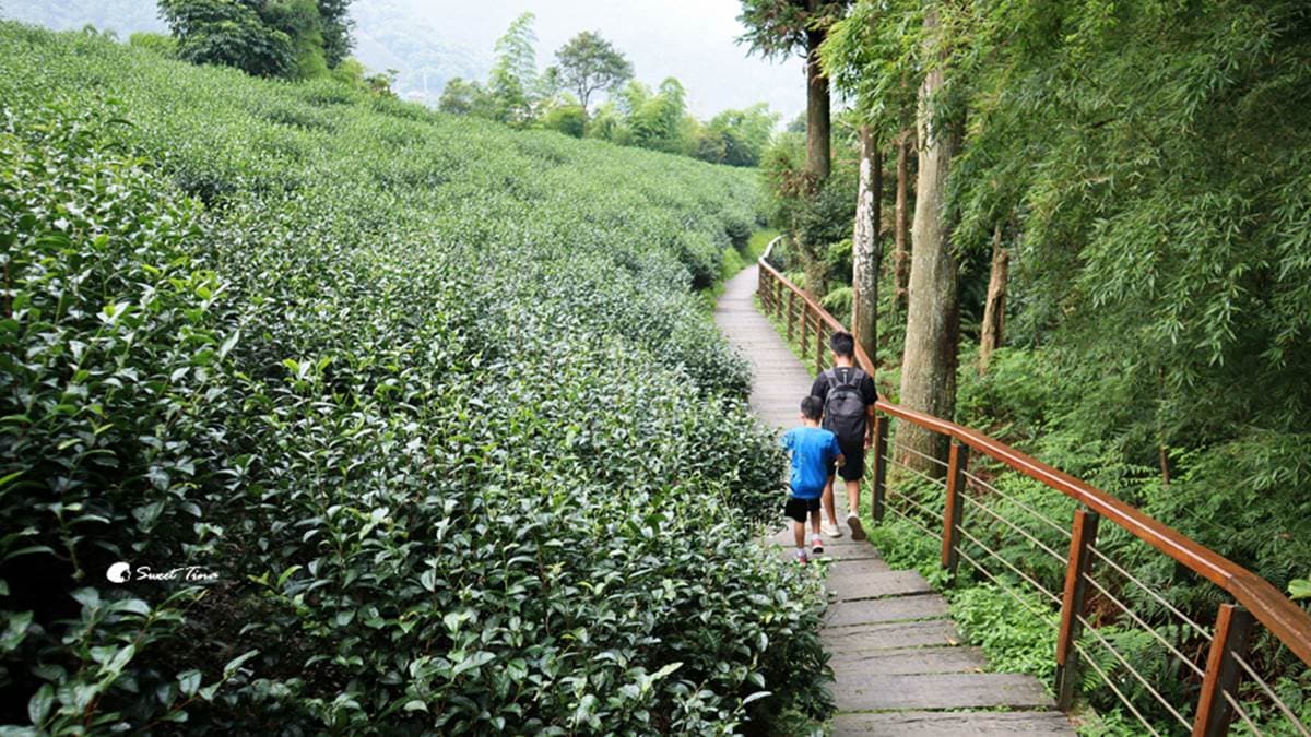 步道全長不長，而且沿路的風景也很美麗。（圖片來源：Sweet Tina 樂在生活分享）
