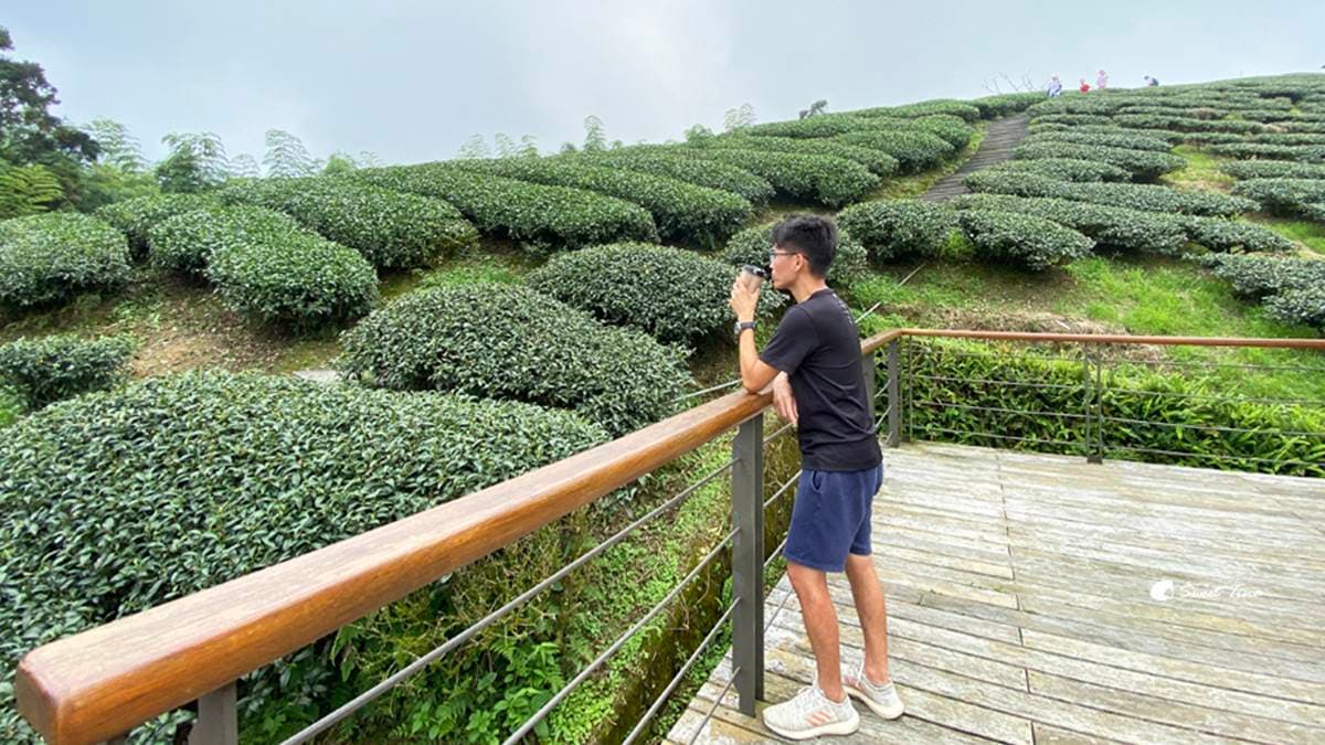 可以站在涼亭上看風景，綠油油的景致讓人不禁忘卻煩惱。（圖片來源：Sweet Tina 樂在生活分享）
