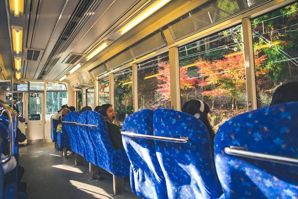 京都賞楓避開人潮!達人教「1路公車」祕境看到飽,「最佳觀賞時機」也曝光 京都賞楓避開人潮!達人教「1路公車」祕境看到飽,「最佳觀賞時機」也曝光