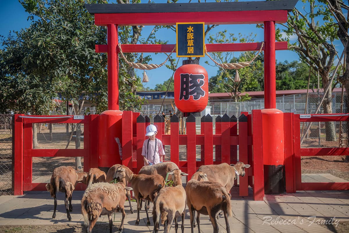 平日入園「最高省百元」!桃園人氣農場換新裝,搶拍超萌水豚雕像、餵小動物 平日入園「最高省百元」!桃園人氣農場換新裝,搶拍超萌水豚雕像、餵小動物