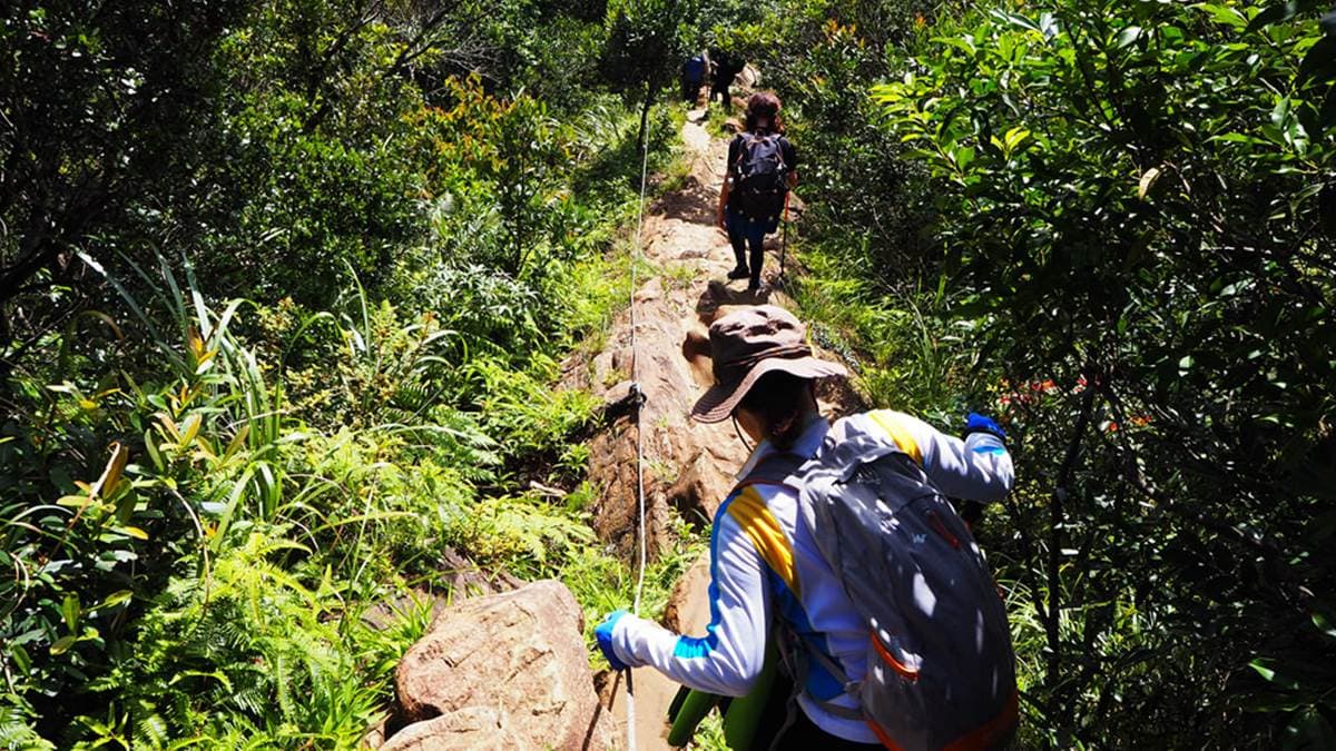 來這裡登山會建議攜帶手套，這樣攀爬行走時會比較安全。（圖片來源：相片中的菲莉絲）